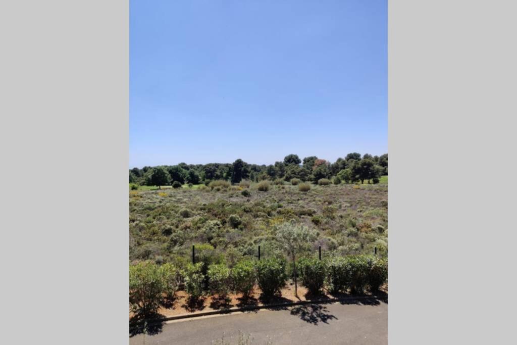 Appartement Golf Saint Thomas - Belle résidence Béziers Esterno foto